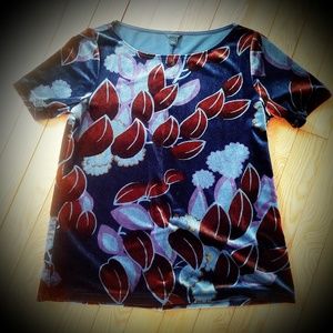 Ann Taylor velvet top